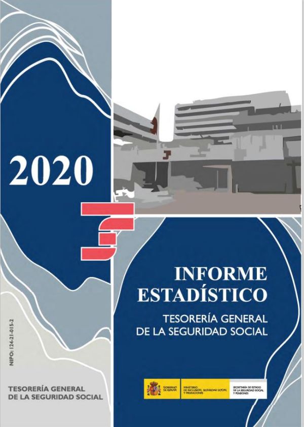 Informe Estadístico 2020