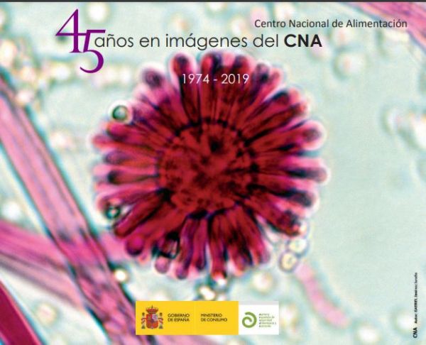 45 años en imágenes del CNA