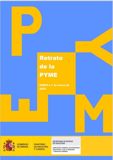 Retrato de la Pyme