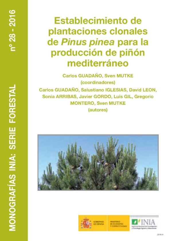 Establecimiento de plantaciones clonales de Pinus Pinea para la producción de piñón mediterráneo