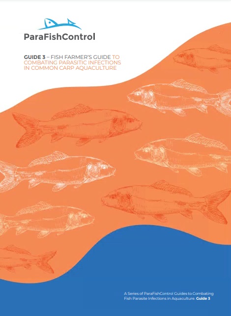 Fish farmer's guide to combating parasite infections in common carp aquaculture