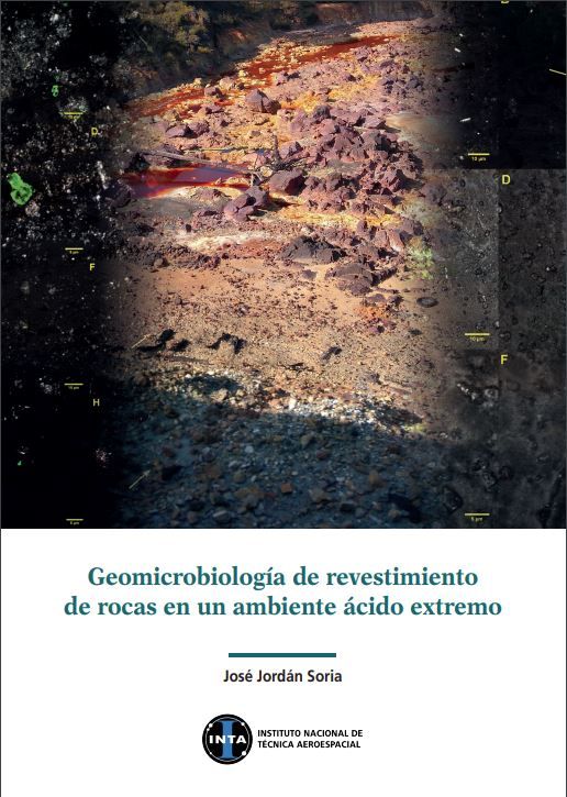 Geomicrobiología de revestimientos de rocas en un ambiente ácido extremo