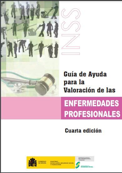 Guía de ayuda para la valoración de las enfermedades profesionales