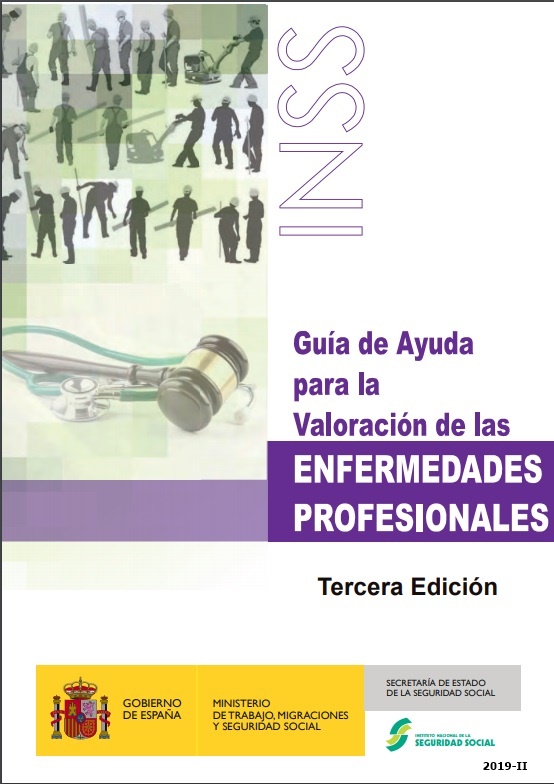 Guía de ayuda para la valoración de las enfermedades profesionales