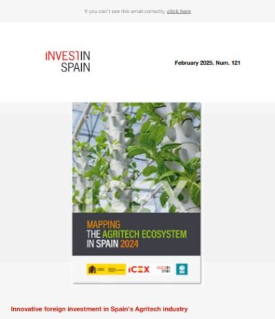 Newsletter on Line Invest in Spain