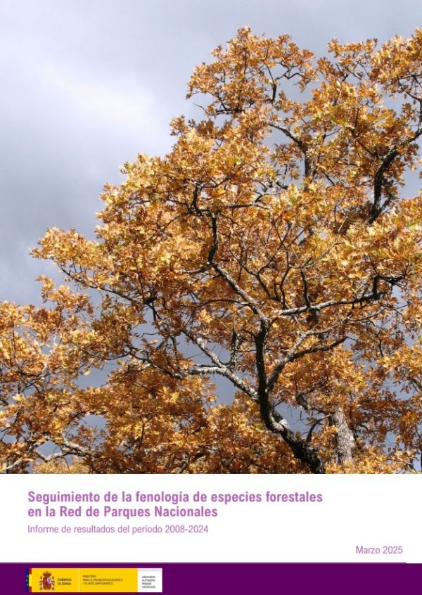 Seguimiento de la fenología de especies forestales en la Red de Parques Nacionales