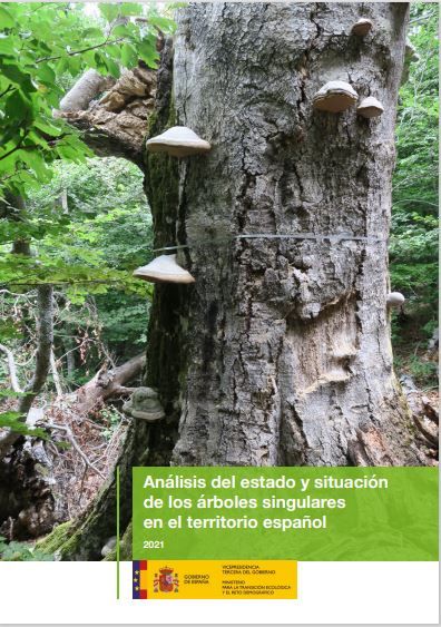 Análisis del estado y situación de los árboles singulares en el territorio español
