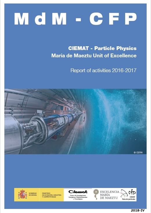 CIEMAT Particle Physics