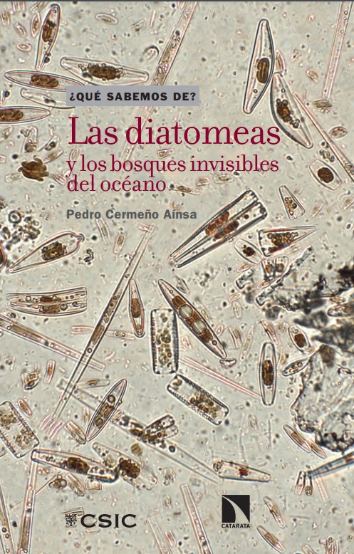 Las diatomeas y los bosques invisibles del océano