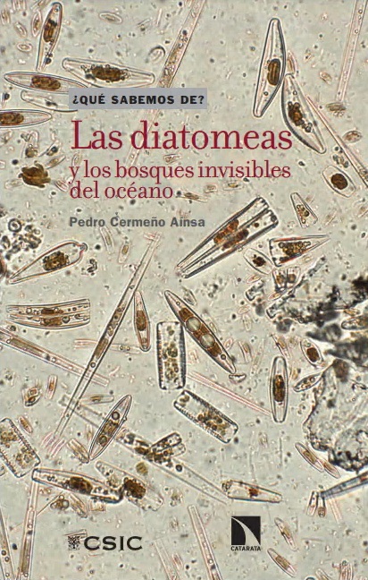 Las diatomeas y los bosques invisibles del océano