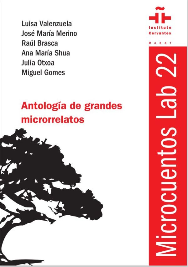 Microrrelatos LAB22