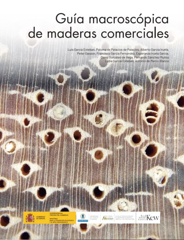 Guía macroscópica de maderas comerciales