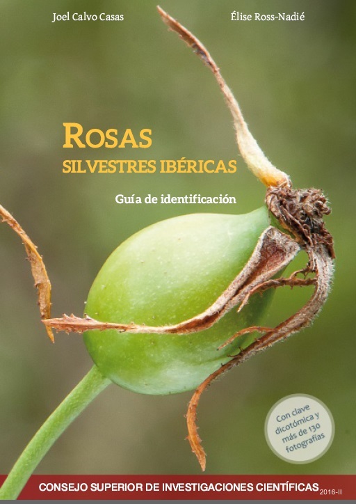 Rosas silvestres ibéricas