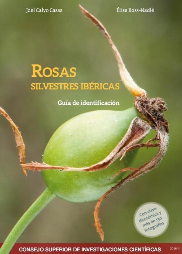 Rosas silvestres ibéricas