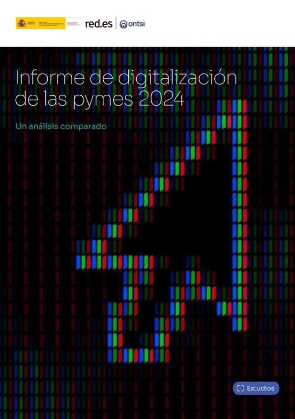 Informe de digitalización de las pymes 2024
