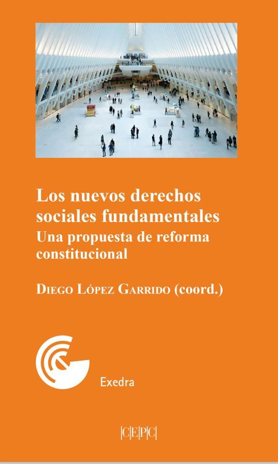 Los nuevos derechos sociales fundamentales