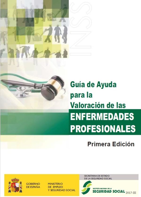 Guía de ayuda para la valoración de las enfermedades profesionales
