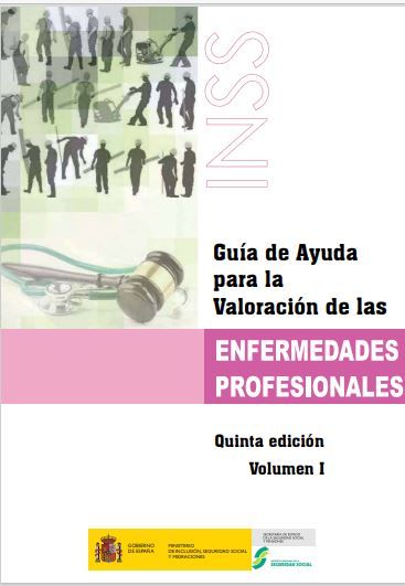 Guía de ayuda para la valoración de las enfermedades profesionales