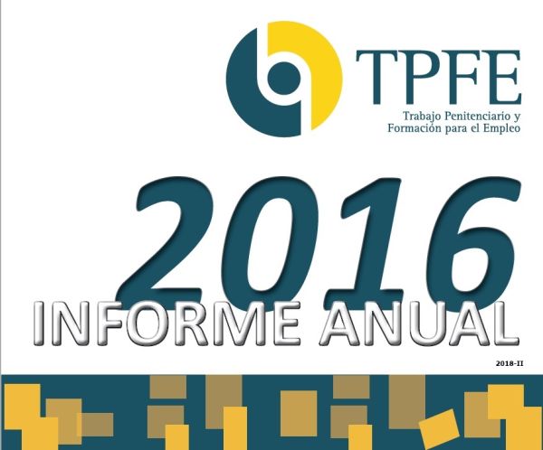 Informe anual 2016