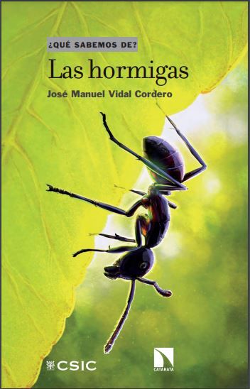 Las hormigas