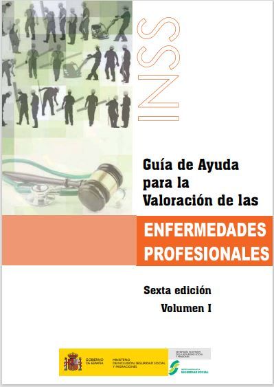 Guía de ayuda para la valoración de las enfermedades profesionales