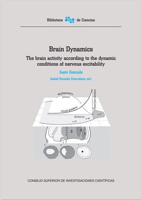 Brain Dynamics