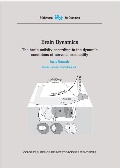 Brain Dynamics
