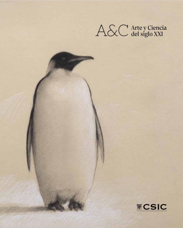 A&C