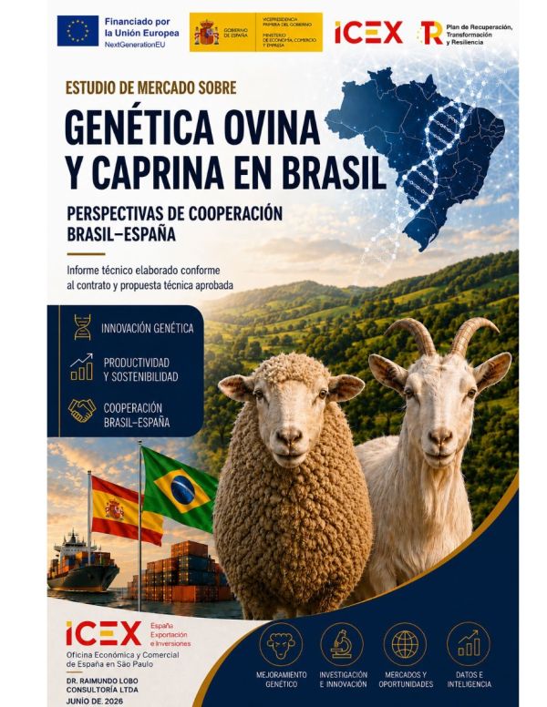 Estudio de mercado sobre genética ovina y caprina en Brasil