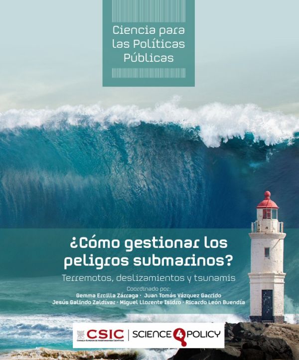 ¿Cómo gestionar los peligros submarinos?