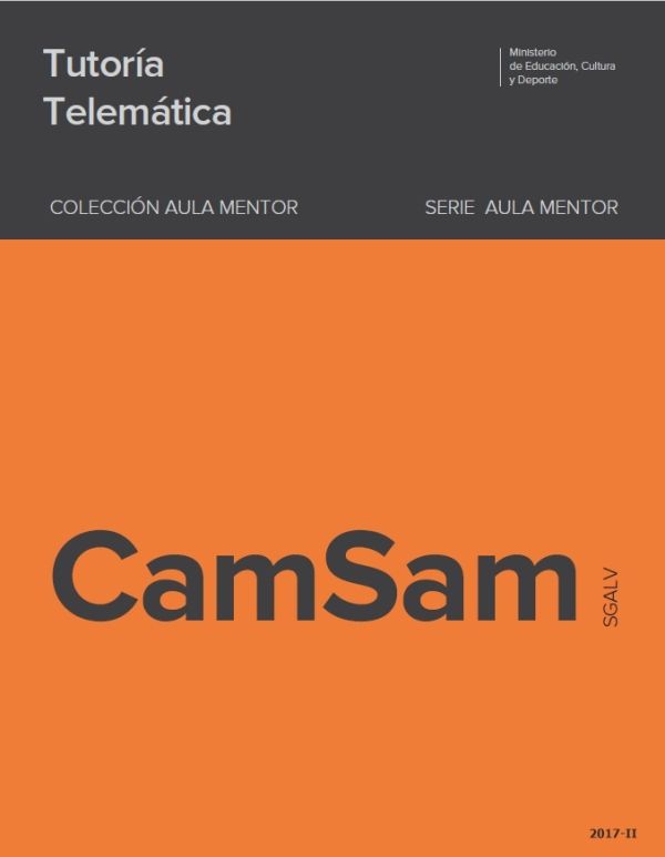 Tutoría telemática