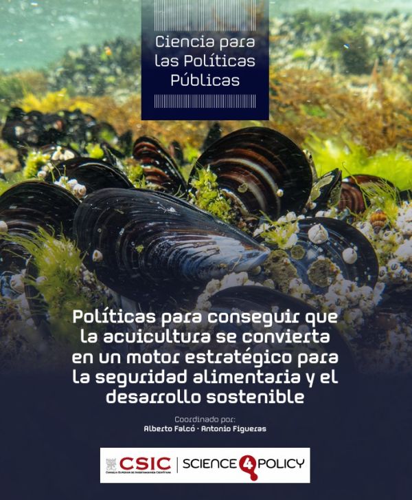 Políticas para conseguir que la acuicultura se convierta en un motor estratégico para la seguridad alimentaria y el desarrollo sostenible