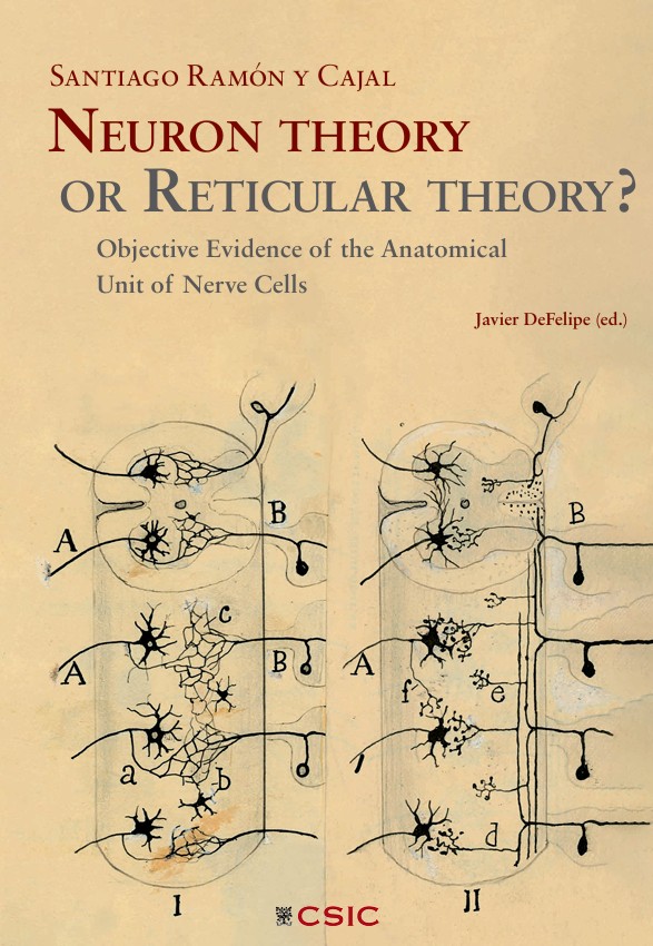 Neuron theory or reticular theory?