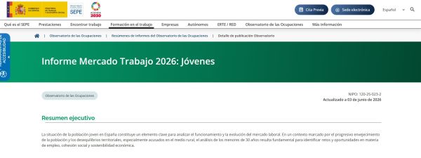 Informe del mercado de trabajo de los jóvenes estatal. Resumen ejecutivo