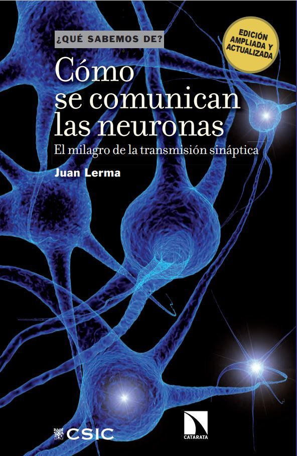 Cómo se comunican las neuronas