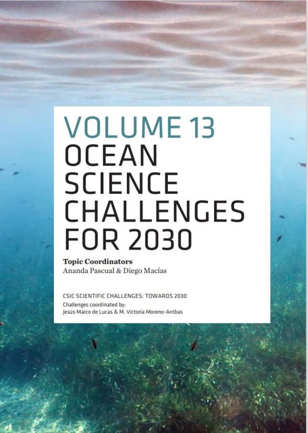 Ocean science challenges for 2030