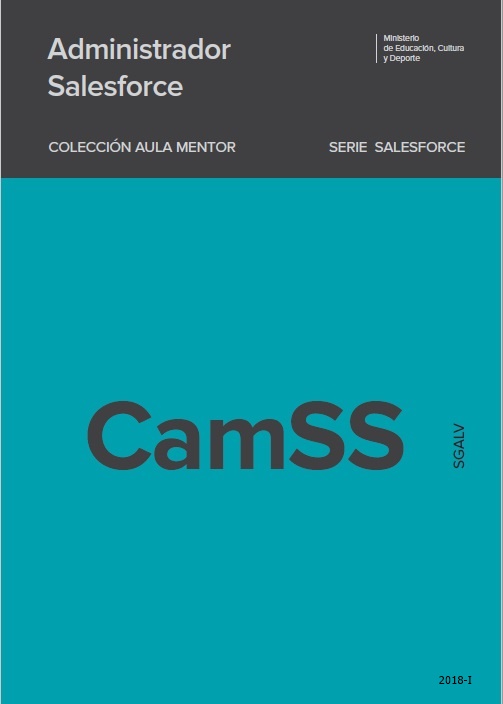Salesforce consultant