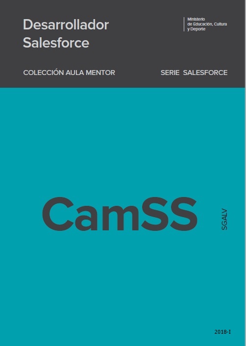Salesforce developer