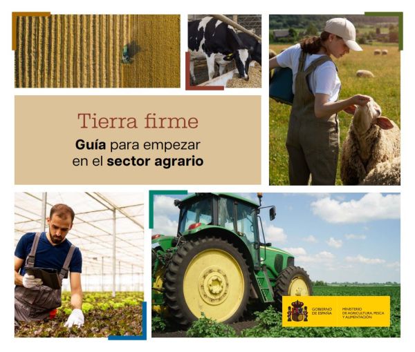 Tierra firme