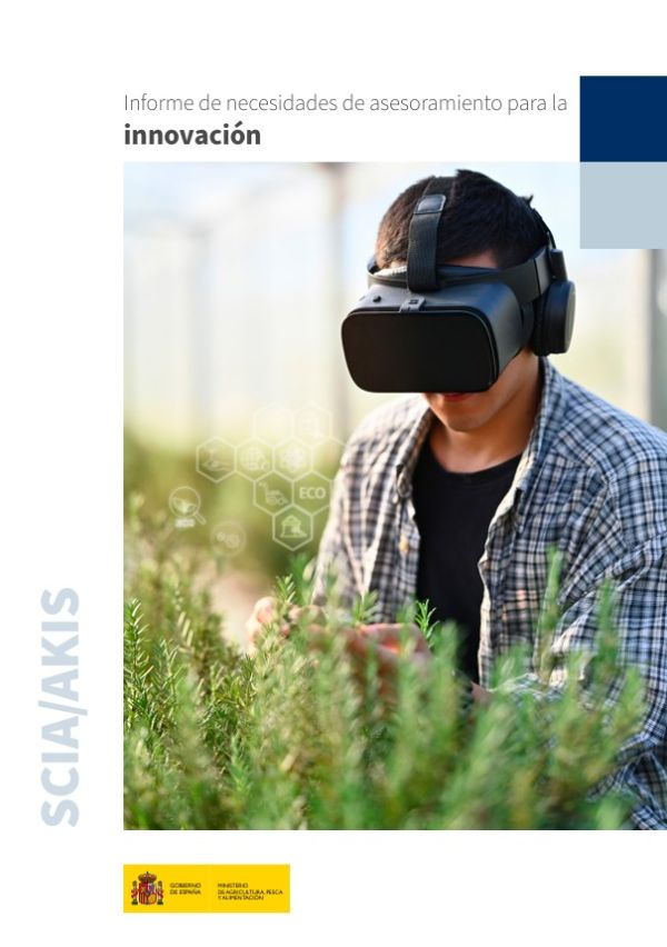 Informe de necesidades de asesoramiento para la innovación