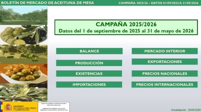Boletín de Mercado de Aceituna de Mesa