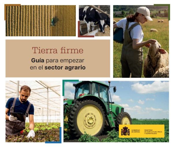 Tierra firme