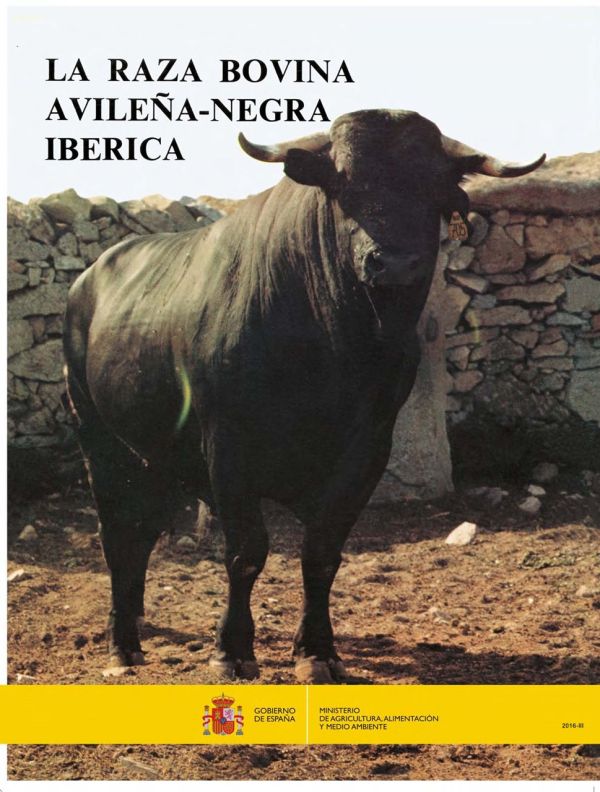 La raza bovina avileña-negra ibérica