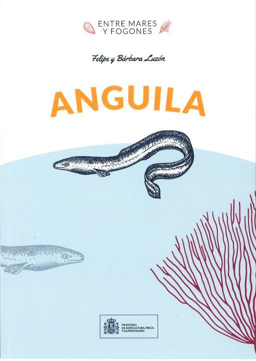 Anguila