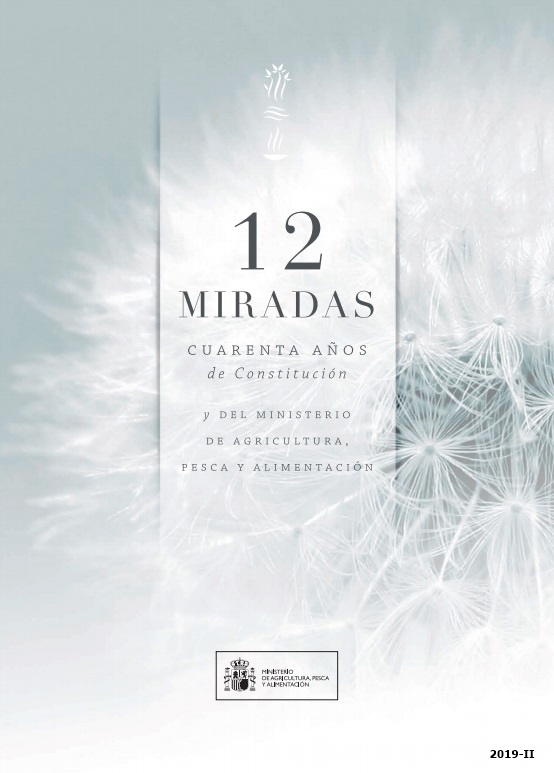 12 miradas