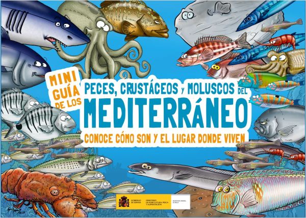 Mini guía de los peces, crustáceos y moluscos del Mediterráneo