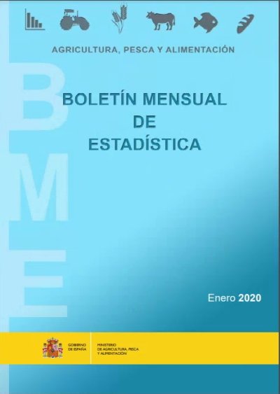 Boletín Mensual de Estadística