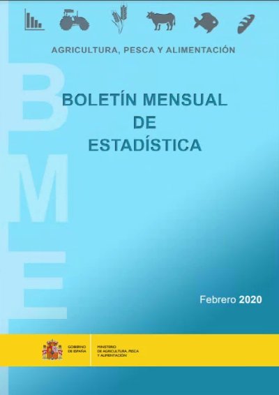 Boletín Mensual de Estadística