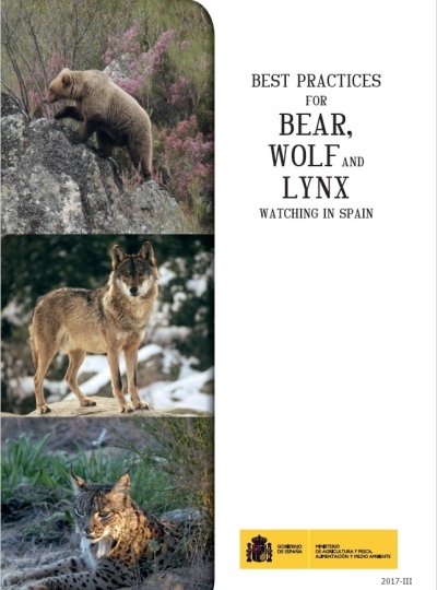 Best practices for bear, wolf and lynx watching in Spain
