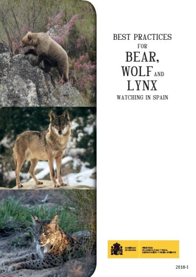 Best practices for bear, wolf and lynx watching in Spain